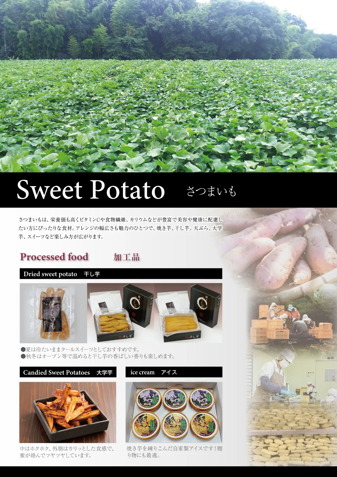 さつまいも加工品