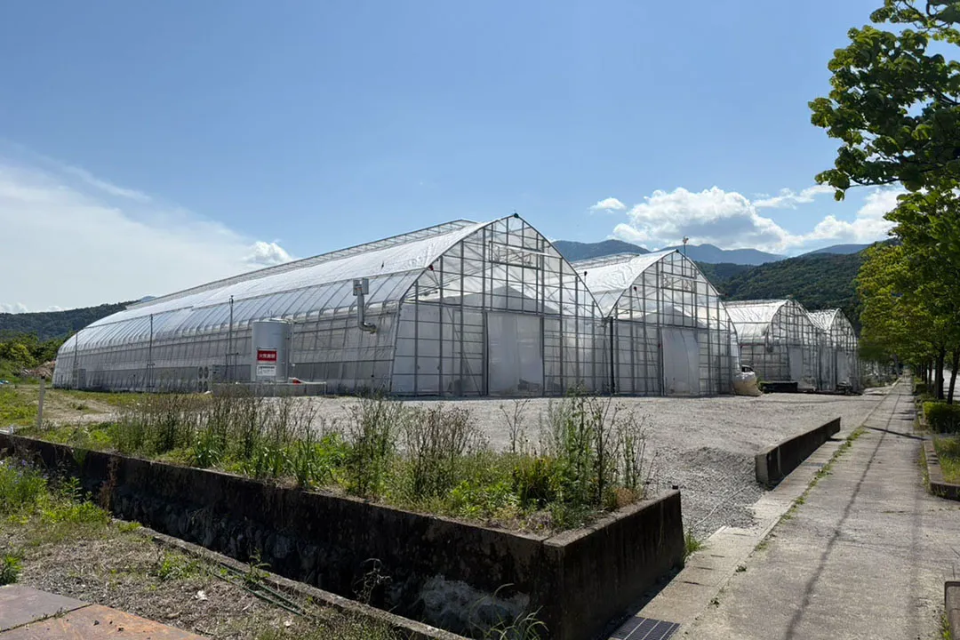 富士川圃場