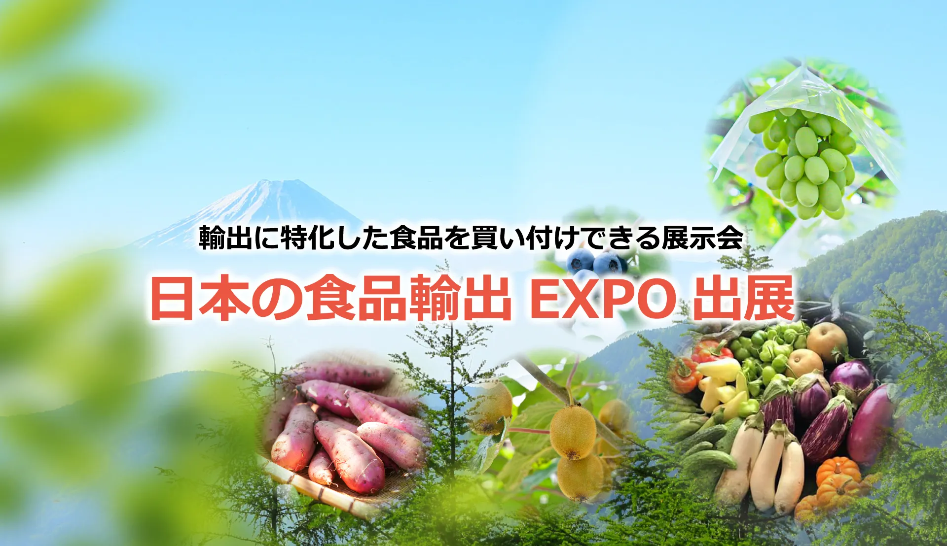 日本の食品輸出 EXPO 出店|輸出に特化した食品を買い付けできる展示会